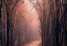 bet365：英格兰战拉脱维亚23人名单：利夫拉门托、拉姆斯代尔落选.