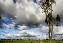 bet365：[冠军欧洲]马德里竞技客平凯尔特人.