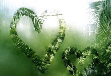 中国代表团亮相亚残运会开幕式人民网.