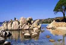 法比安-鲁伊斯国家队前37场均不败，追平西班牙队史纪录.